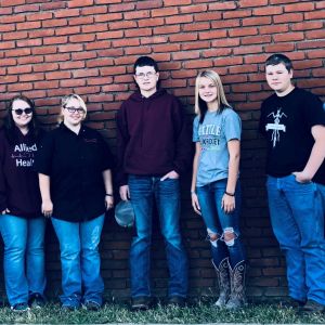 BCC Students Achieve Awards at Local Fairs